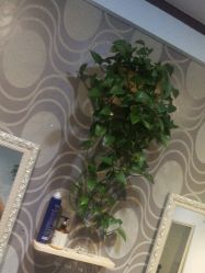 -艺时·漂发·染发·蛋白护理店