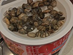 -龍歌自助小火锅(芝罘万达店)