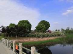-尚贤河湿地