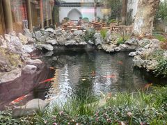 -鲤院·新中式美学·庭院餐厅(夫子庙店)
