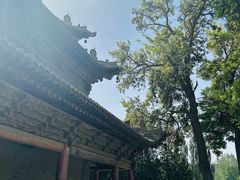 -张掖大佛寺景区