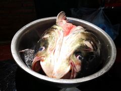 -好灶头妈妈菜·千岛湖土菜地标美食