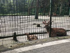 -武陵山森林公园