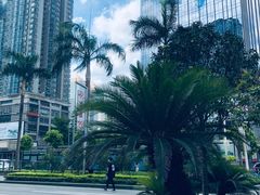 -天河体育中心