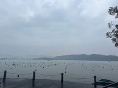 -杭州半山国家森林公园