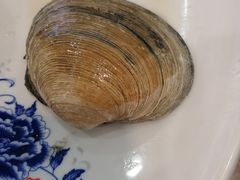 -福来齐·鲁菜海鲜·渔家菜(朝阳街分店)