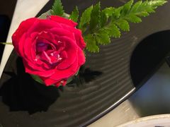 -澳美徕·港式花胶鸡火锅(高新万达店)