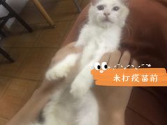 -荔康动物医院(康王北路店)