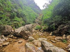 -南海湾森林生态园