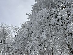 -庐山风景名胜区