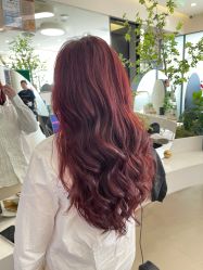 -GANO HAIR 