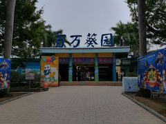 -百万葵园