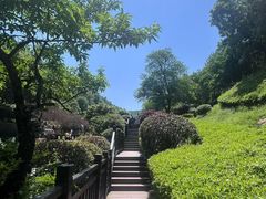 -桃花岭景区