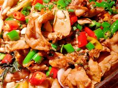 紫苏牛蛙平锅-蛙来哒(吉联mall店)