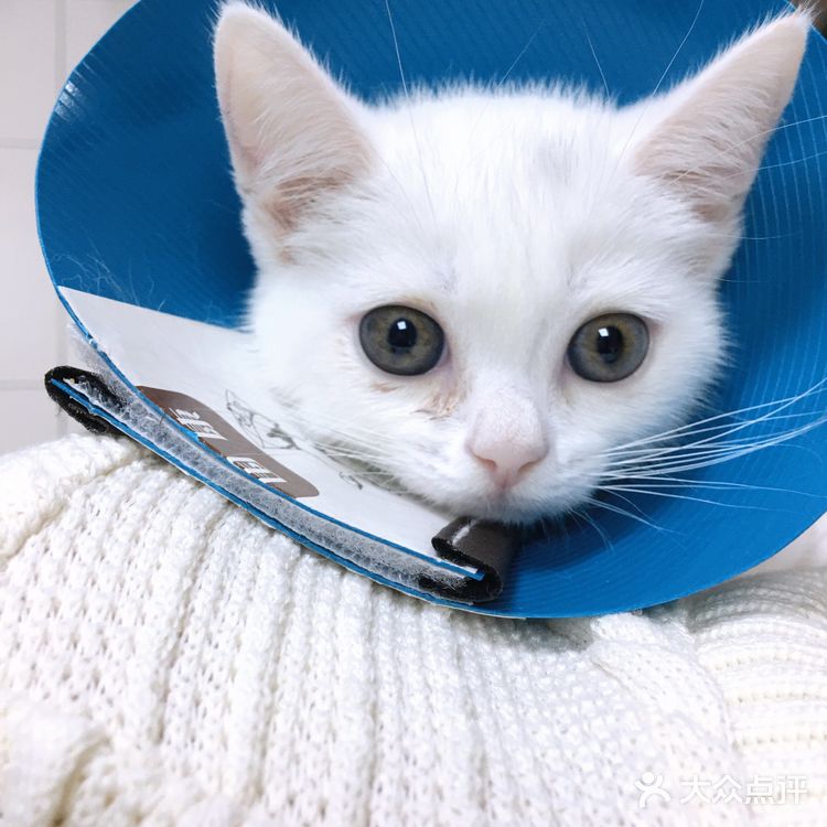 小宝贝要快点恢复健康啊