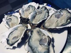 -千岛蚝高压锅生蚝·人参火锅(白云万达店)