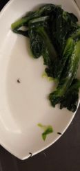 -星摇篮月子中心(市妇幼店)