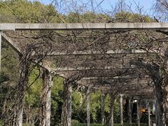 -叶家花园