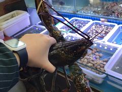 波士顿龙虾-大杰海鲜锅(基隆路店)
