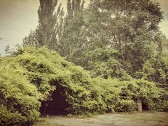 -回龙观体育文化公园