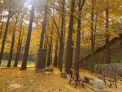 -阳台山自然风景区
