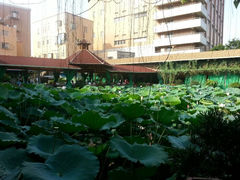 android_upload_pic-荷香居(洞企石路店)