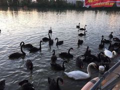 -艾溪湖湿地公园