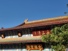 -天津大悲禅院
