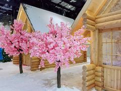 -宁波冰雪大世界(北仑区)