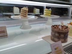-TD66高山铁皮石斛养生茶饮