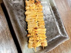 鸡皮-串鑫