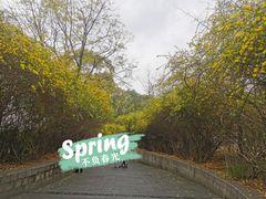 -成都南湖公园