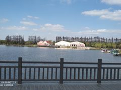 -上海长兴岛郊野公园