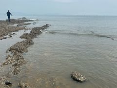 -春妮海味饭店·海景餐厅·海菜包子·大连海鲜