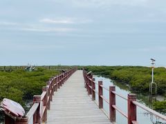 -北海金海湾红树林生态旅游区