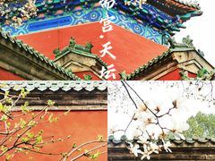 -天坛公园