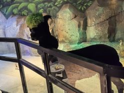 -酷嗒动物文化乐园(cutezoo西溪乐天城店)