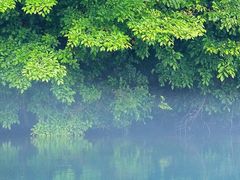 -文峰大世界(南大街店)