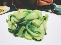 清炒上海青-清真·舒迩布炕锅王·高原美食文化(青海总店)