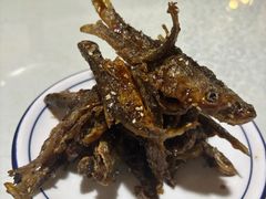 -呼吸森林·生态农庄农家乐私房菜