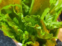 -京炭铜锅涮肉·羊蝎子·羊肉炉(保利·时光里店)
