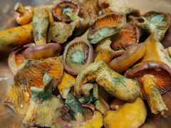 -滇野云南野生菌餐厅(陕西南路店)