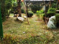 -熊猫自助餐厅.萌趣城堡(长隆熊猫酒店)