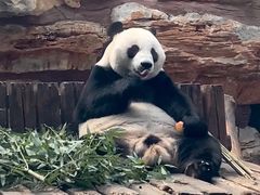 -石家庄市动物园