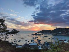 -枸杞岛