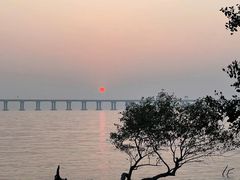 -宝安西湾红树林湿地公园