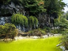 -上海吴淞炮台湾国家湿地公园