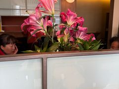 -枣子树素餐厅(铂金城店)