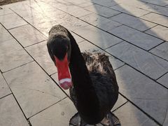 -河北省园博园