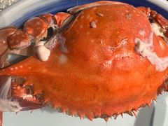 -蓝珊瑚蒸汽海鲜餐厅(龙奥店)